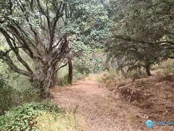 150000m2 Plot for Sale in Istán