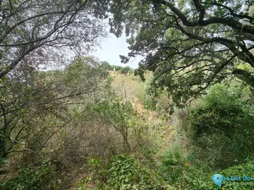 150000m2 Plot for Sale in Istán-37560