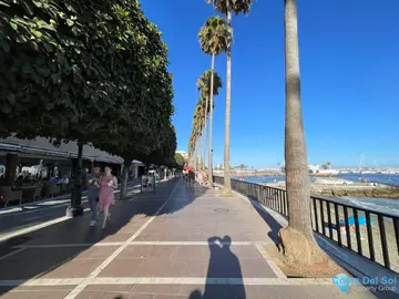5 bedroom Apartment for Sale in Marbella-37582