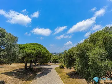 5481m2 Plot for Sale in Sotogrande Alto-37602