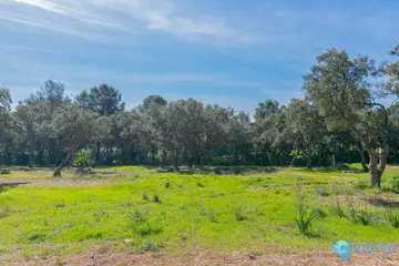 5481m2 Plot for Sale in Sotogrande Alto-37616