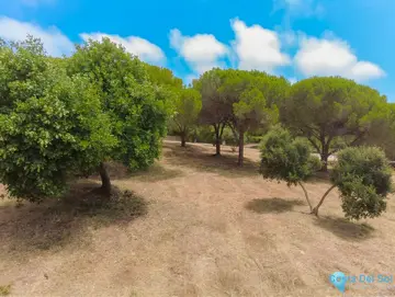 5481m2 Plot for Sale in Sotogrande Alto-37606