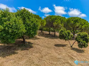 5481m2 Plot for Sale in Sotogrande Alto-37613