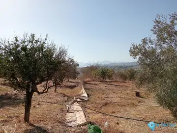 3353m2 Plot for Sale in Estación de Campanillas-37937
