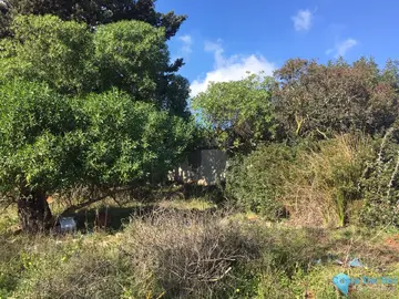 143500m2 Plot for Sale in Manilva-38282