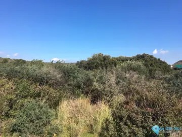 143500m2 Plot for Sale in Manilva-38288