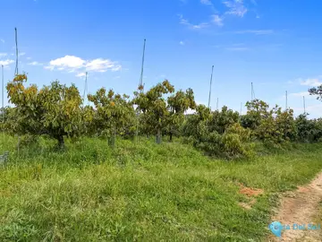 1 bedroom House for Sale in Sotogrande