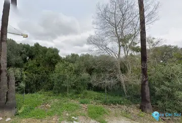 3000m2 Plot for Sale in Sotogrande Alto-40333