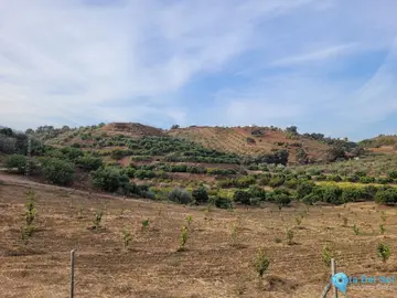 110000m2 Plot for Sale in Guaro