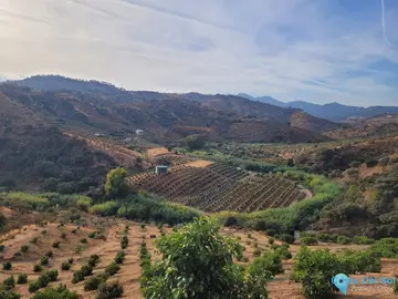 110000m2 Plot for Sale in Guaro-40821
