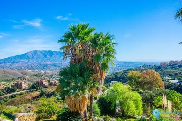 6 bedroom House for Sale in La Mairena-40976