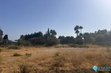 1975m2 Plot for Sale in The Golden Mile-41267