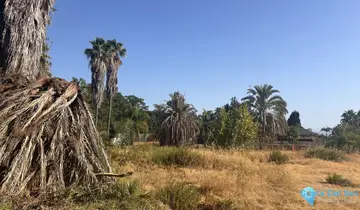 1975m2 Plot for Sale in The Golden Mile-41268