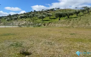 20000m2 Plot for Sale in Coín-41291