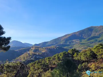 8743m2 Plot for Sale in La Zagaleta