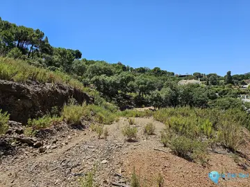 8743m2 Plot for Sale in La Zagaleta-42872