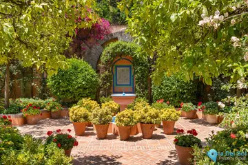 6 bedroom House for Sale in Benahavís-42929