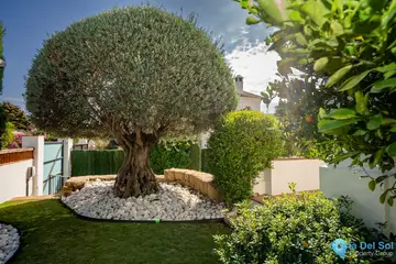 6 bedroom House for Sale in Guadalmina Baja-43243