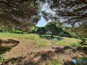 11528m2 Plot for Sale in Sotogrande-43514