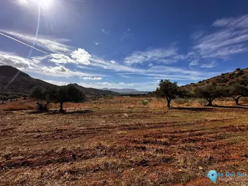 760000m2 Plot for Sale in Almogía-43625