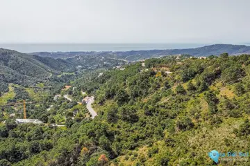 265000m2 Plot for Sale in Benahavís-43985