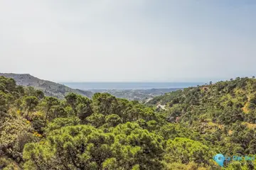 265000m2 Plot for Sale in Benahavís-43987