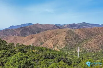 265000m2 Plot for Sale in Benahavís-43989