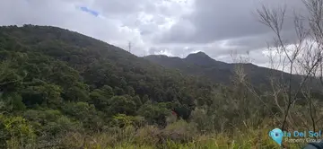 26000m2 Plot for Sale in Benahavís-44392