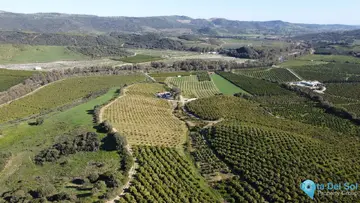 273764m2 Plot for Sale in Casares-46115