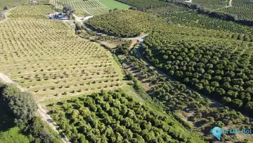 273764m2 Plot for Sale in Casares-46120