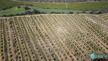 273764m2 Plot for Sale in Casares-46123