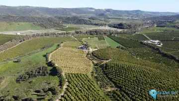 273764m2 Plot for Sale in Casares-46124
