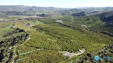 273764m2 Plot for Sale in Casares-46129