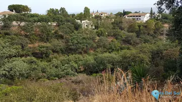 28123m2 Plot for Sale in Elviria-47903
