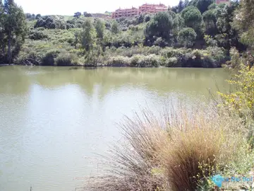 430000m2 Plot for Sale in Mijas-48219