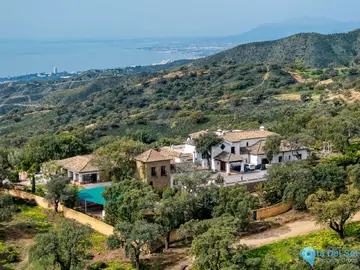 7 bedroom House for Sale in La Mairena-48693