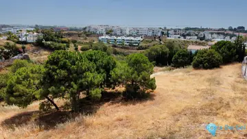 1128m2 Plot for Sale in Selwo-101782