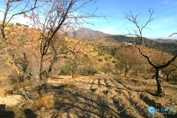 9283m2 Plot for Sale in Tolox