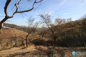 9283m2 Plot for Sale in Tolox-58683
