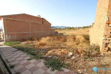 250m2 Plot for Sale in Alozaina