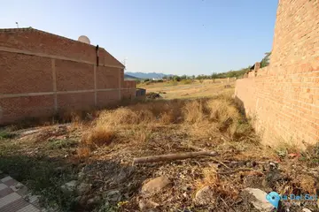 250m2 Plot for Sale in Alozaina-58703