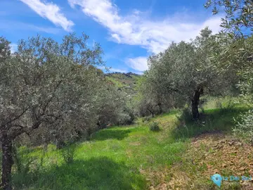 10390m2 Plot for Sale in Guaro-58715