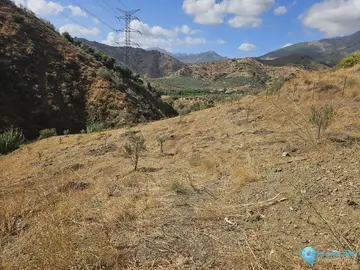 11395m2 Plot for Sale in Casarabonela