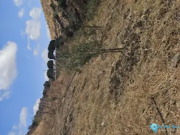 11395m2 Plot for Sale in Casarabonela-58748