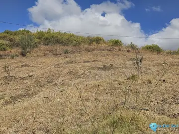 11395m2 Plot for Sale in Casarabonela-58749