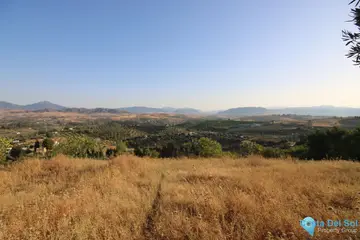 6000m2 Plot for Sale in Coín