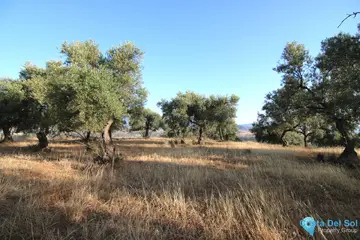 6000m2 Plot for Sale in Coín-58738