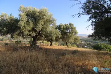 6000m2 Plot for Sale in Coín-58742