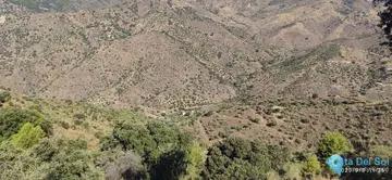 6000m2 Plot for Sale in Monda-58775