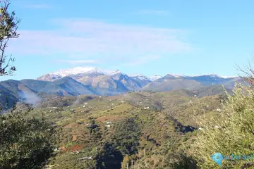 16063m2 Plot for Sale in Tolox